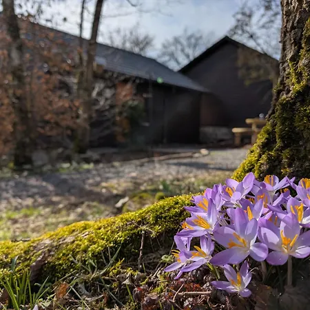 Heureux * 소메레우제