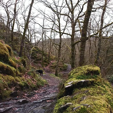 Heureux 샬레 소메레우제