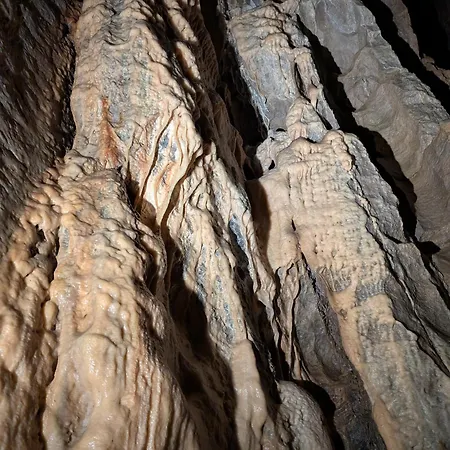 Heureux 소메레우제