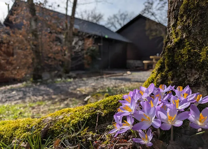 Heureux * Somme-Leuze